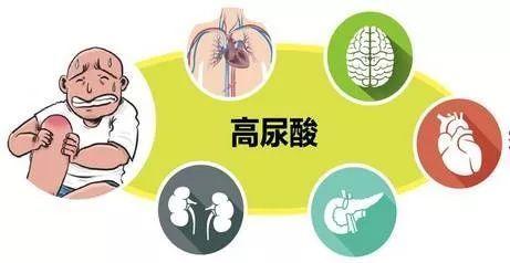 高尿酸血症是痛风吗?如何区别两者?